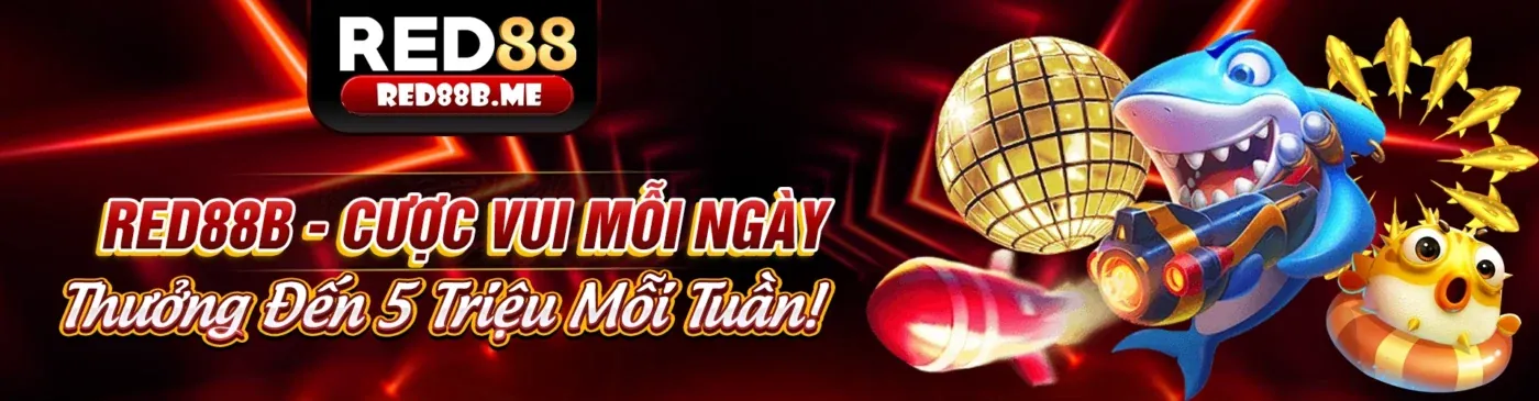 Giấy phép và quy định nghiêm ngặt của k88 bet